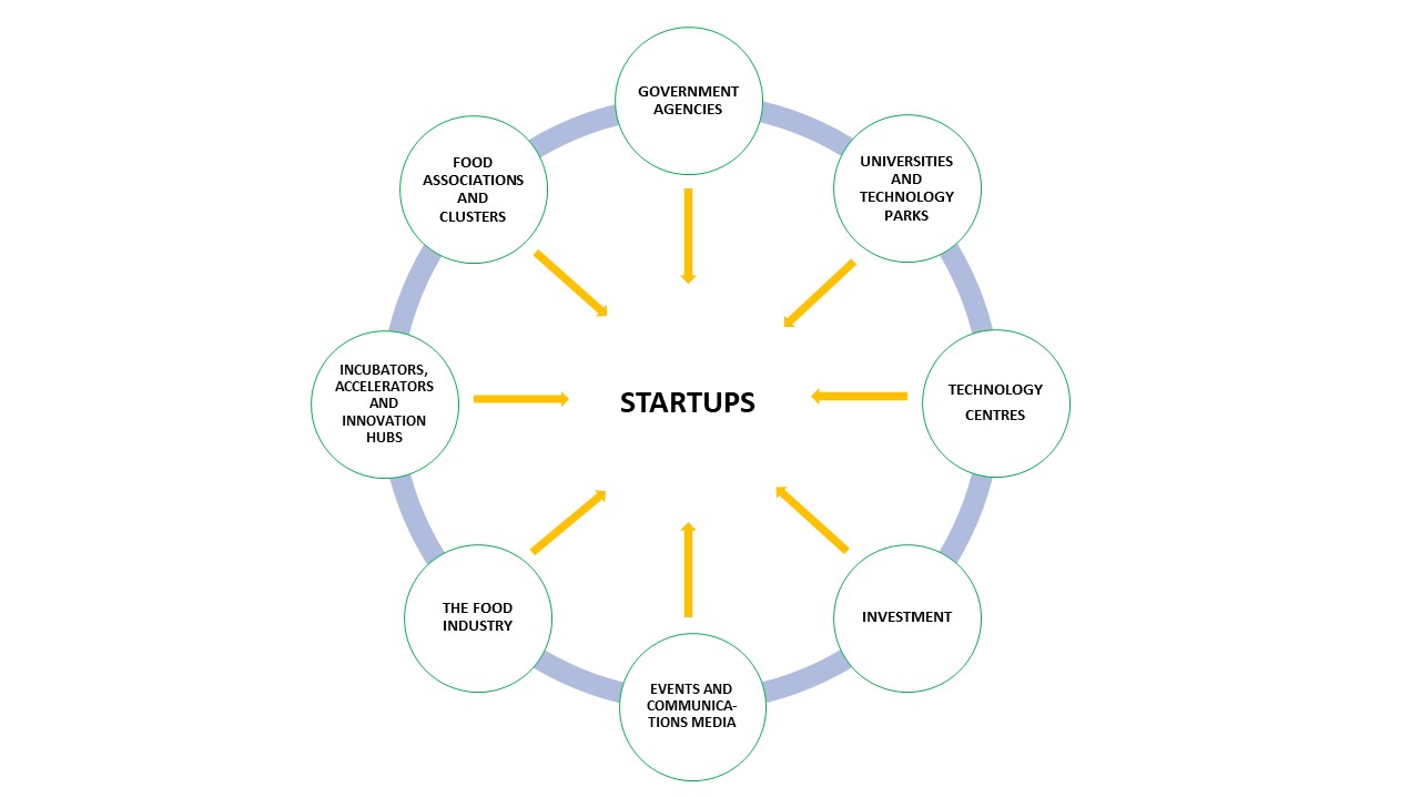 Startup Forum Network